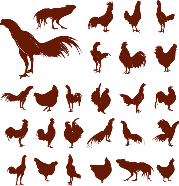 鸡肉Logo图标合集图片下载