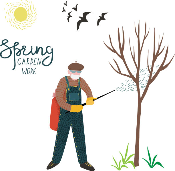 一个人把木头从害虫上隔离开来图片下载