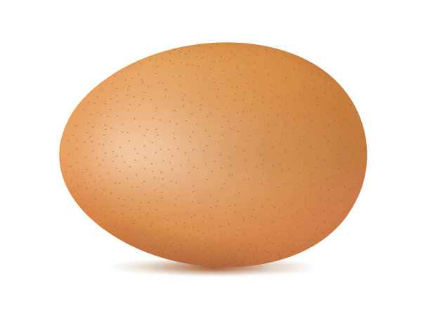 单现实动物蛋鸡蛋分离图片下载