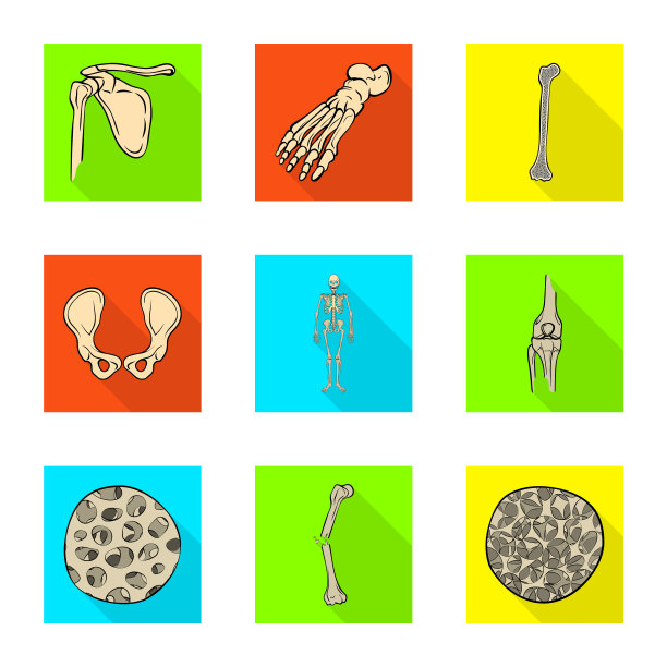 骨骼和骨骼标志集图片下载