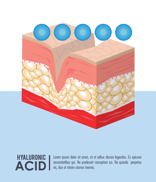 透明质酸注射液填充物信息图图片下载