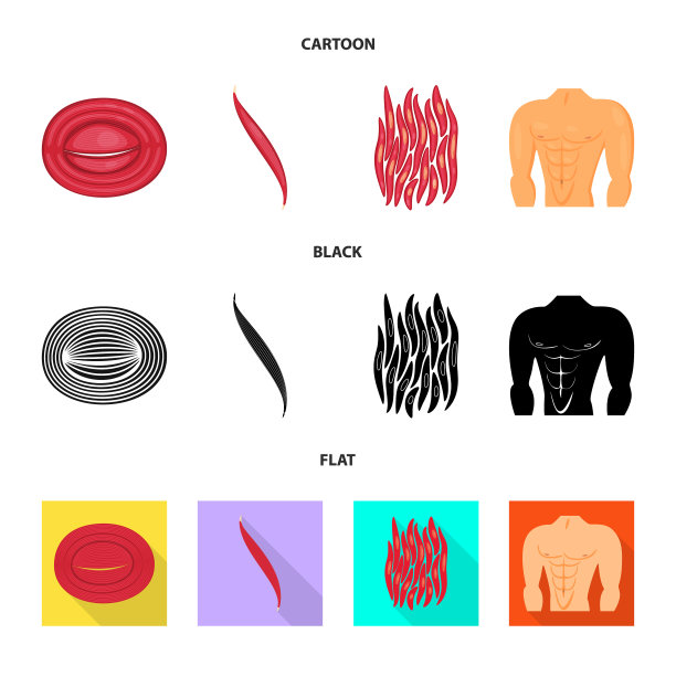 设计纤维和肌肉符号套图片下载