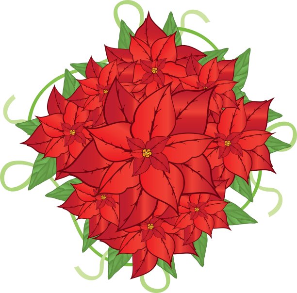 一品红花2图片下载