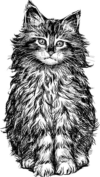 手画一只坐着的毛茸茸的小猫图片下载