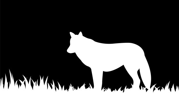 草地上狼的剪影图片下载