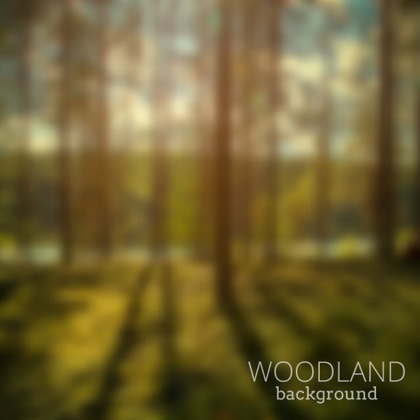 森林模糊有意者图片下载