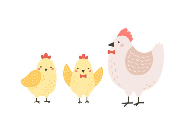 可爱的母鸡和小鸡孤立在白色图片下载