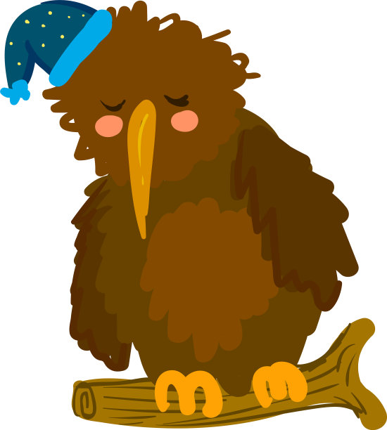 睡觉的几维鸟或颜色图片下载