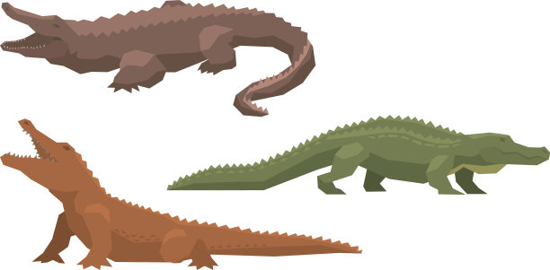 鳄鱼卡通鳄鱼的角色图片下载