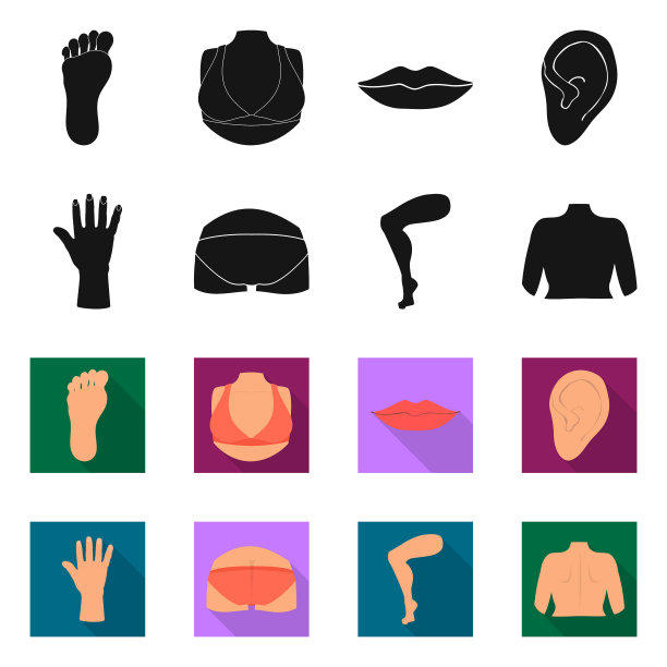 身体和部分符号图片下载