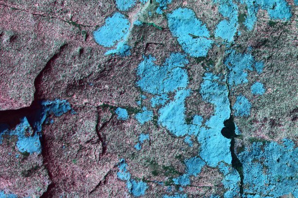 垃圾风化苔藓上的石头纹理-可爱的抽象照片背景图片下载