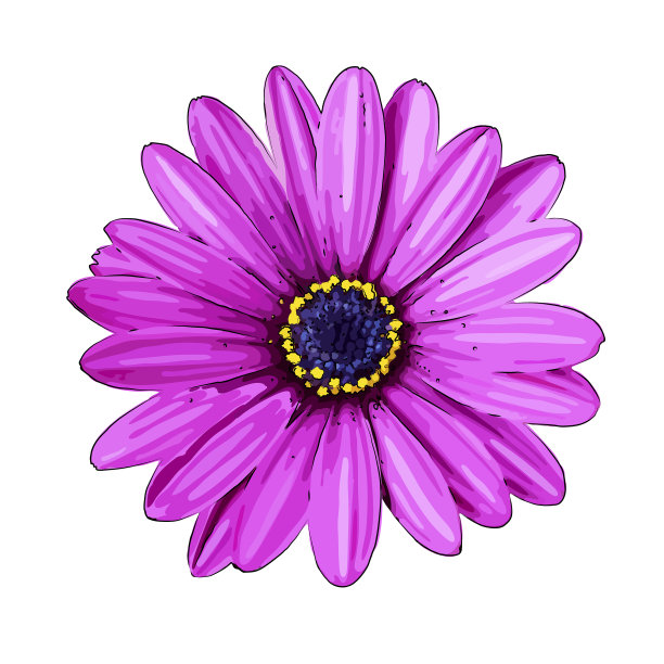 花在一个白色的背景孤立图片下载