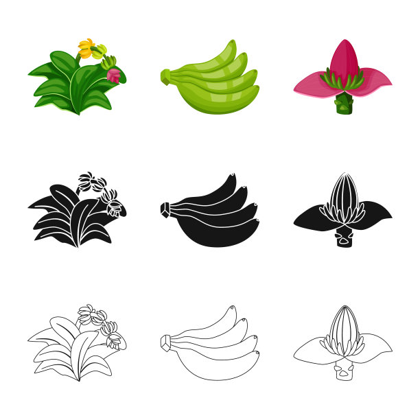 自然和素食者图片下载