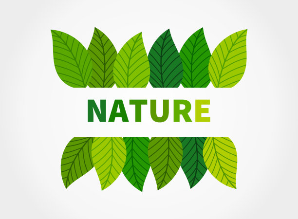 自然叶边界。图片下载