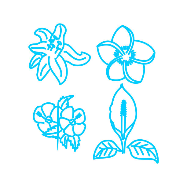 花叶设计模板线性图片下载