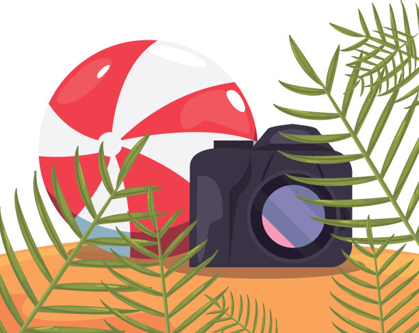 摄影摄像沙滩球异国情调的树枝夏天图片下载