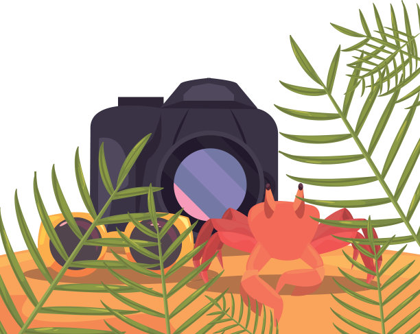 摄影螃蟹和太阳镜异国情调图片下载