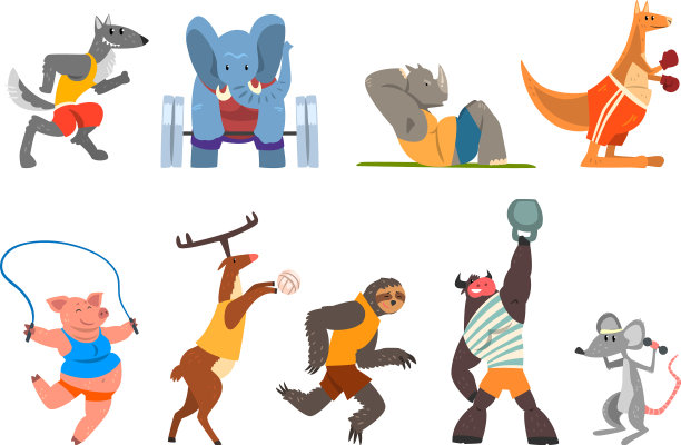 动物做运动，袋鼠，河马，狼图片下载