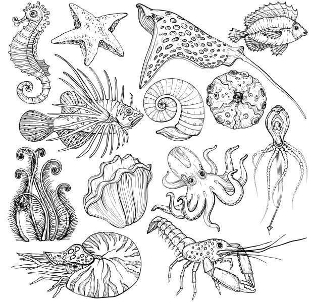设置与手绘海洋生物图片下载