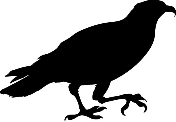 鸟的轮廓图片下载