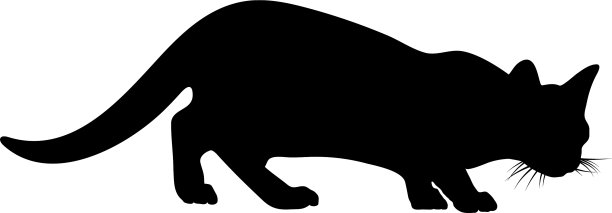 猫的轮廓图片下载