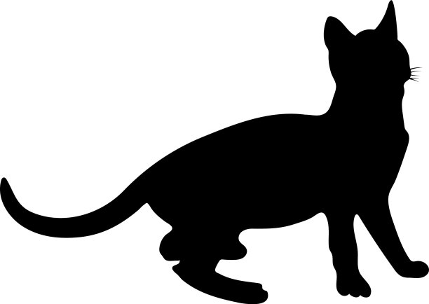 猫的轮廓图片下载