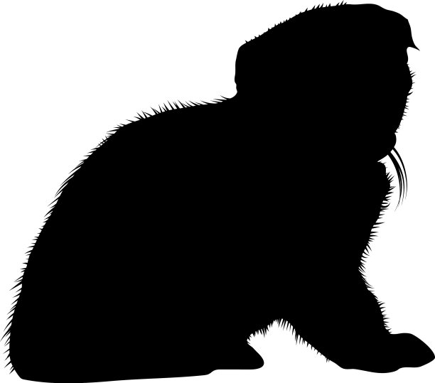 猫的轮廓图片下载