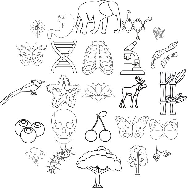 有机图标设置轮廓样式图片下载