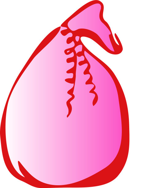 礼物图标上的白色背景图片下载