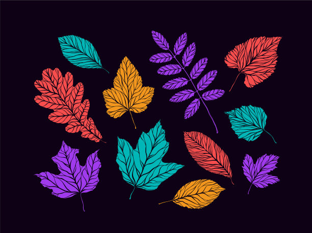 秋叶装饰集自然理念图片下载