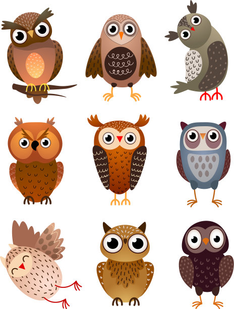 设置可爱的不同猫头鹰鸟与色彩图片下载