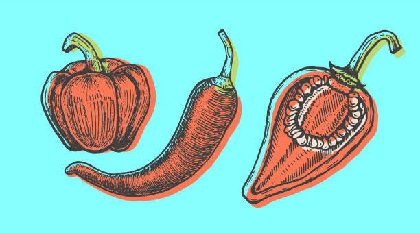 手绘辣椒集素描风格涂鸦图片下载