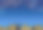 城市与烟花夜空插图。水平位置。图片下载