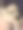 我的小狗图片下载