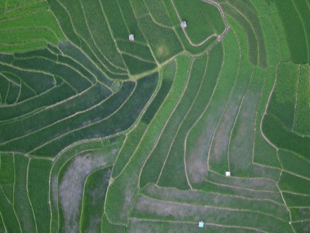 这是印尼中爪哇三宝垄市农田景观的空中全景图图片下载