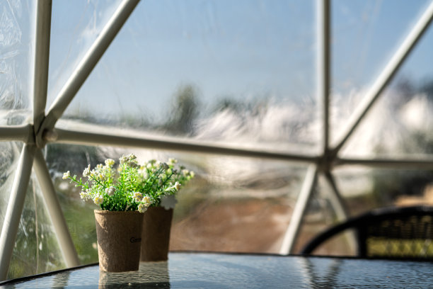 花盆放在桌子上。图片下载