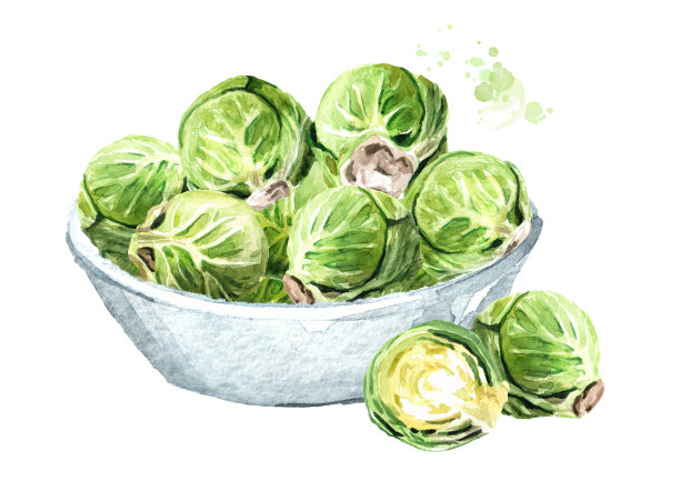 碗里放腌好的小刺山柑。手绘水彩插图孤立的白色背景图片下载