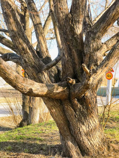 新生活图片下载