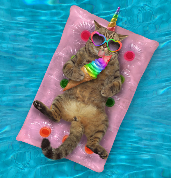 卡帝康在气垫床上吃冰淇淋图片下载