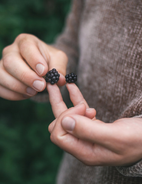 男人的手握着桑葚图片下载