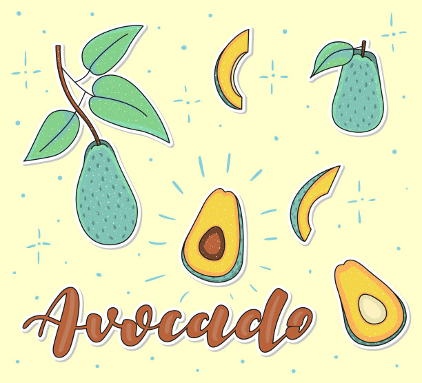 鳄梨整块。矢量股票插图-彩色的水果，孤立在黄色的背景。刻字。图片下载