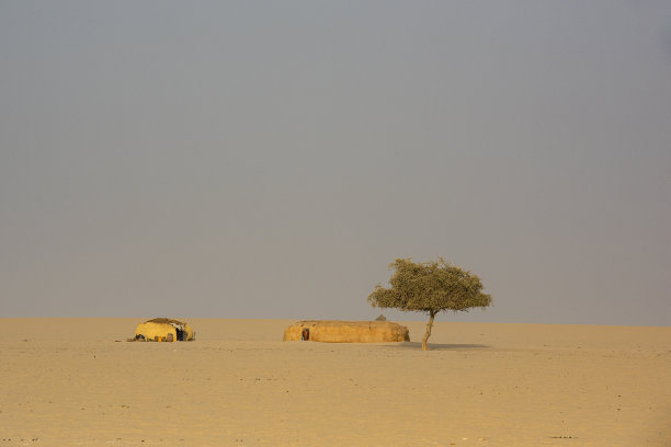 乍得萨赫勒和撒哈拉之间游牧民族的小屋图片下载