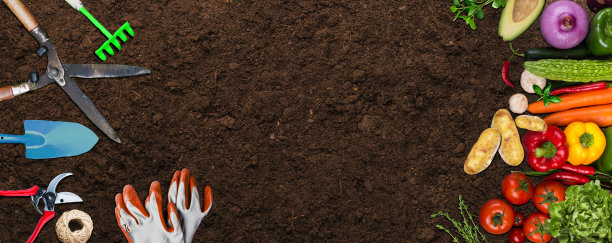 有机花园与园艺工具和有机蔬菜-插图横幅概念图片下载