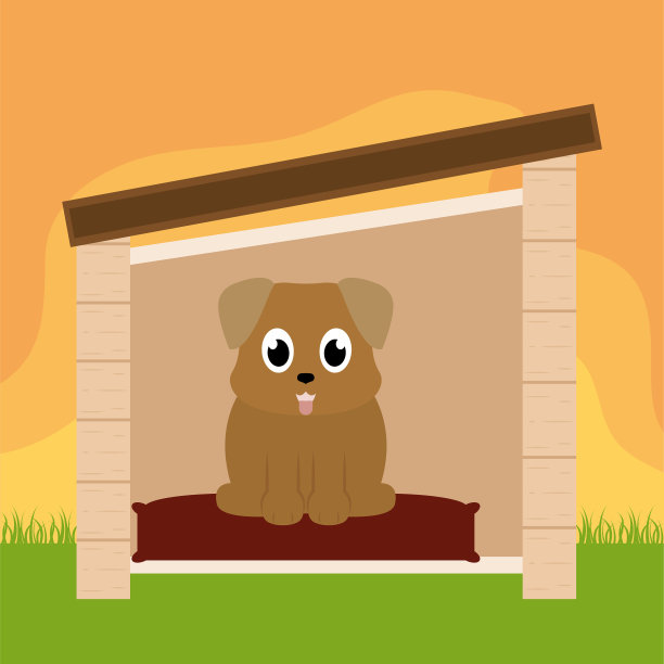 宠物屋里的狗图片下载