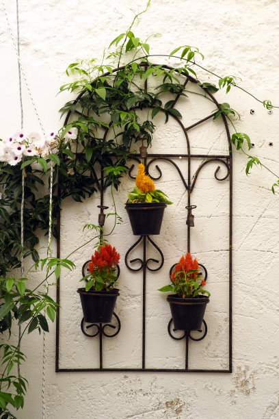 这些花饰是爱琴海中心米科诺斯岛(Mykonos)美丽的基克拉迪斯岛(Cyclades island)的魅力之一图片下载