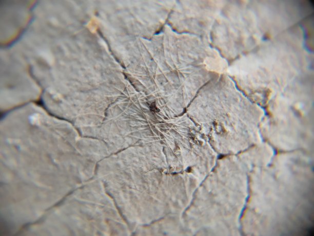 表面不规则的模式图片下载