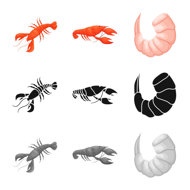 孤立的对象开胃菜和海洋标志集图片下载