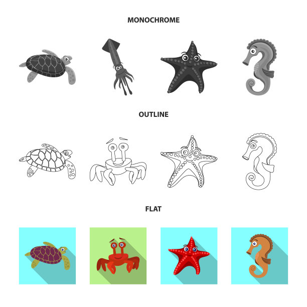 孤立的对象海洋和动物图标设置海洋图片下载