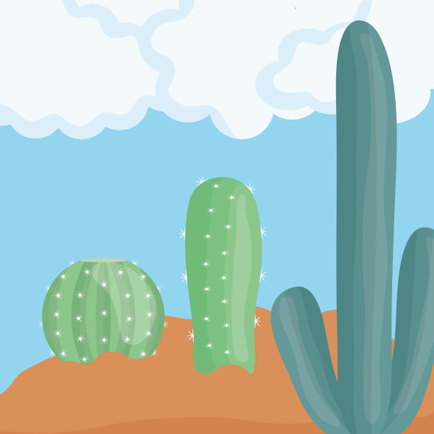 沙漠里奇异的仙人掌图片下载