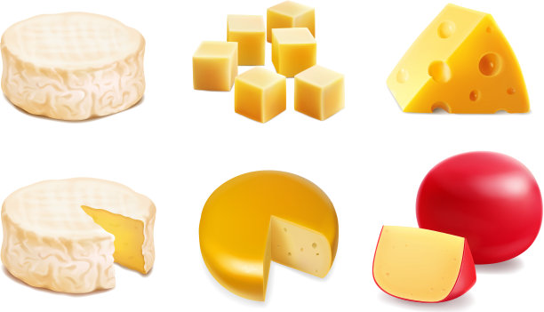 奶酪类型各种奶酪的图标图片下载